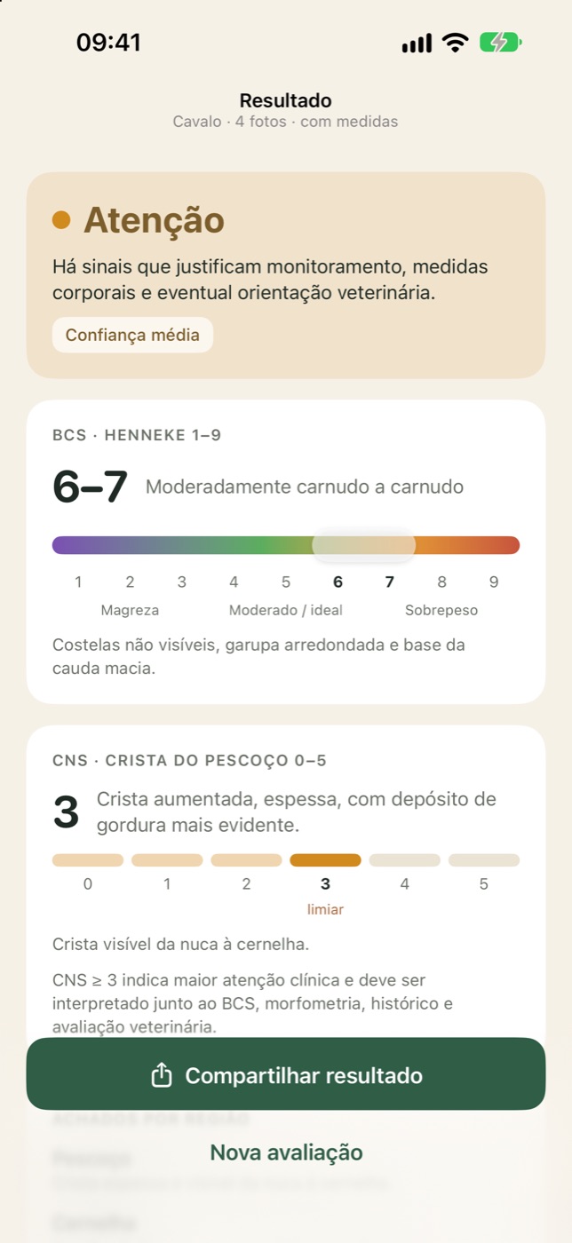 Resultado com classificação Atenção, BCS 6–7 na régua de risco e CNS 3 marcado como limiar.