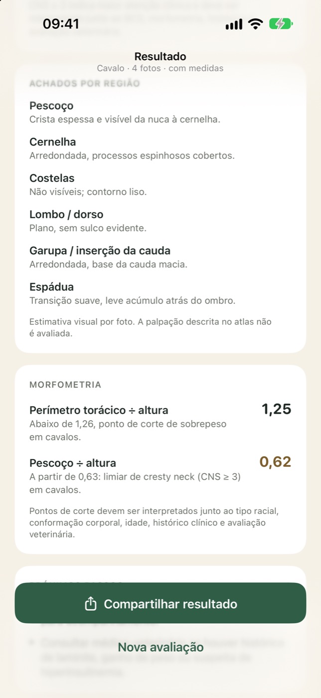 Achados por região anatômica e morfometria com as razões do perímetro torácico e do pescoço pela altura.