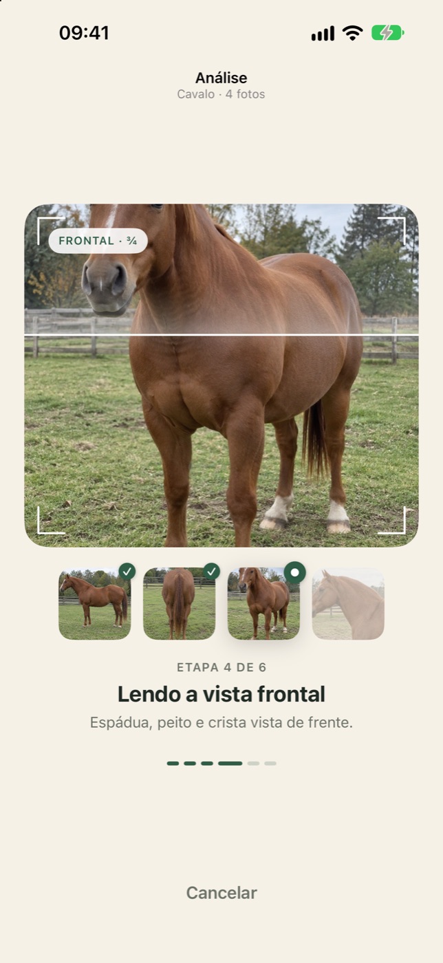 Tela de análise lendo a vista frontal do cavalo, etapa 4 de 6.